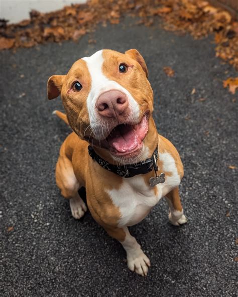 Defenders of Animal Rights | Rainy days like these just make us wanna ...