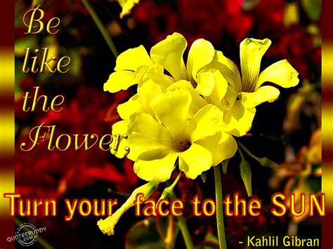 Image result for Springtime Quotes