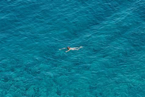 Open Water Swimming 的图像结果