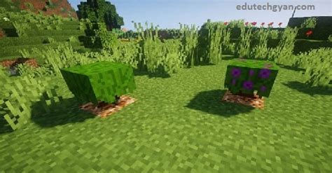 Mediafire Minecraft 1.18 的图像结果