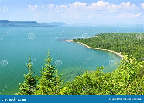 Image result for Table One Script