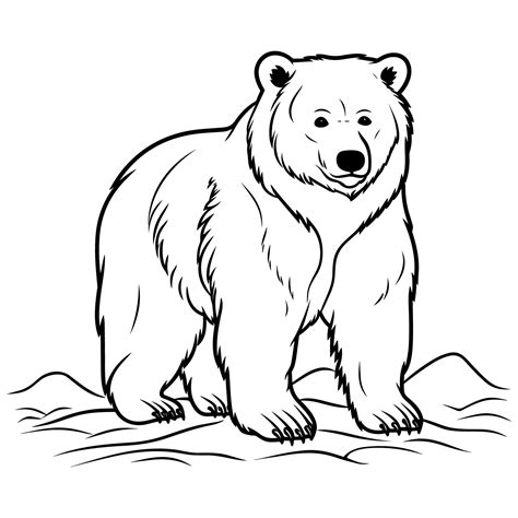 Bear Coloring Page - MIT Printable