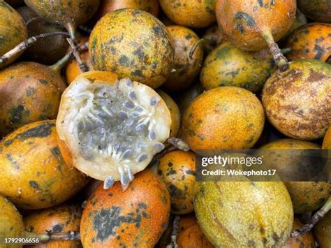 Image result for Passion Java Kopo