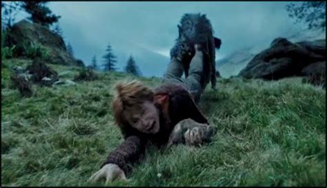 harry potter - Was the cloud of the dog related to Sirius Black in any ...