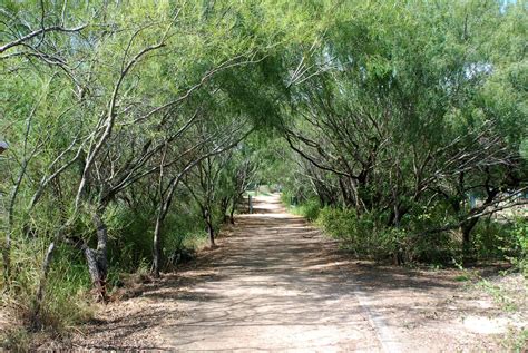 Locations Hub - Edinburg Municipal Park