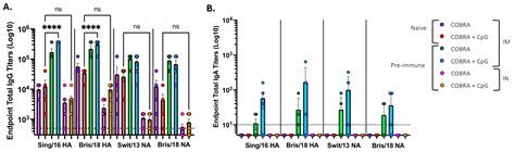 Multivalent COBRA Hemagglutinin and Neuraminidase Influenza Vaccines ...