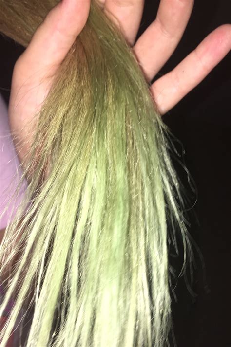 Chlorine Bleached Hair Green