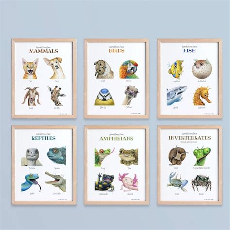 Biology Poster-Making 的图像结果