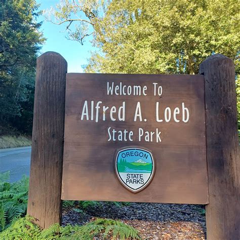 Alfred A. Loeb State Park Campground | Brookings, Oregon