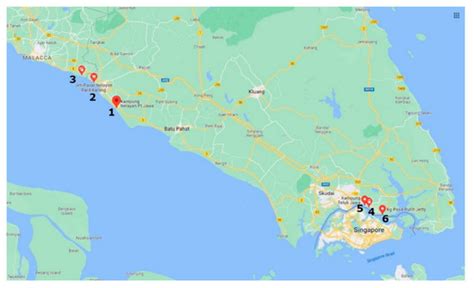 Shell Deformities in the Green-Lipped Mussel Perna viridis: Occurrence ...