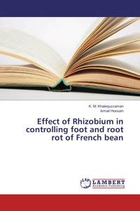 Effect of Rhizobium in controlling foot and root rot of French bean ...