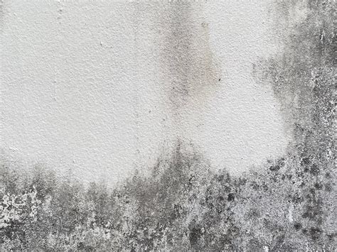 Premium Photo | A white wall with black mold on it.