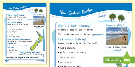 Report Writing: Exemplar Text: (Level 1) (teacher made)