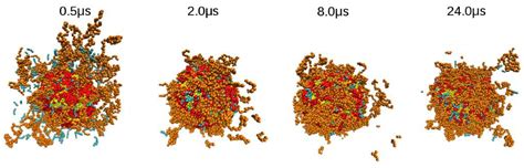 Mesoscopic Modeling of the Encapsulation of Capsaicin by Lecithin ...