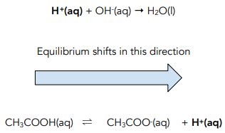Image result for Buffer Examples Chemistry