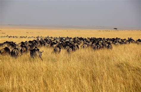 《国家地理》推荐 2013非洲最佳旅游线路