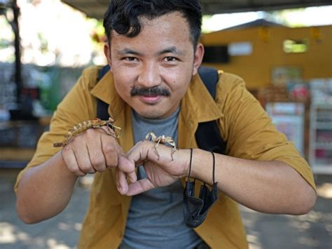 Environment | Nature inFocus