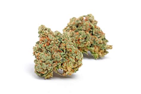 Image result for Alien OG Strain Info