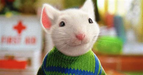 Best Live-Action Movies With Talking Animals, Ranked