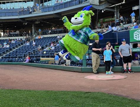Hartford Yard Goats at Erie Seawolves, UPMC Park, Erie | AllEvents.in