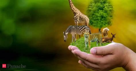 Archaeology can be the tool for a peaceful coexistence with wildlife ...