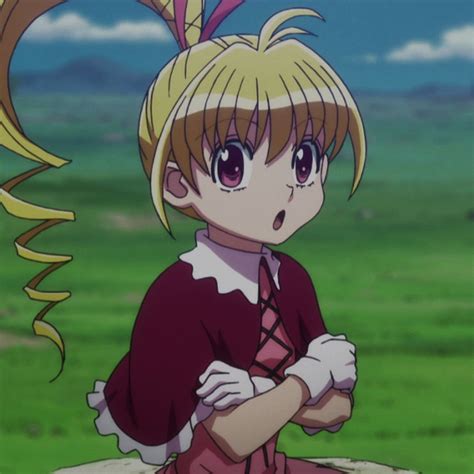 Hunter X Hunter Biscuit True Form - Responsive Form Design