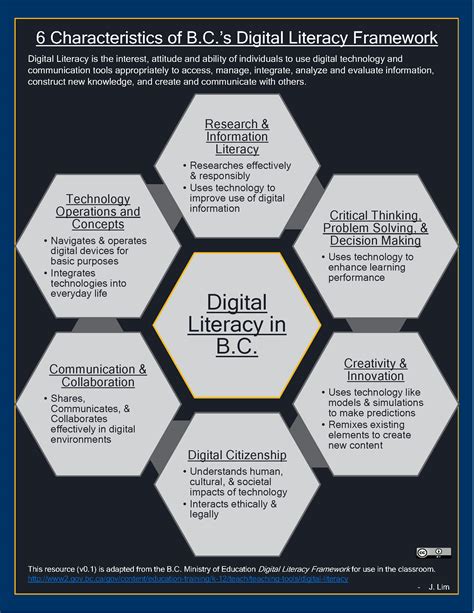 Digital Learning Framework 的图像结果