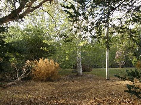 THE 5 BEST Places to Visit in Boyanup (2025) - Must-See Attractions