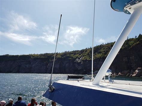 Whale Cruises on the Julien Cloutier Enr. (Perce) - 2021 What to Know ...