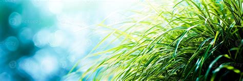 Image result for Watercolor Grass Tutorial