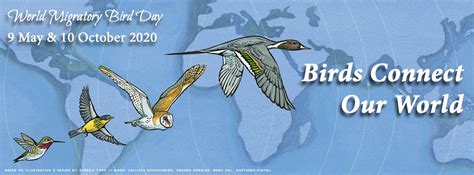 World Migratory Bird Day: 10 October