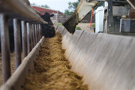 Feed - Agri Trails Coop Inc