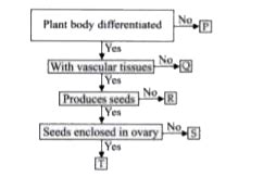 Refer to the given flow chart and identify P, Q, R, S and T.
