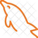 Image result for Python MySQL Icon without Beck Ground