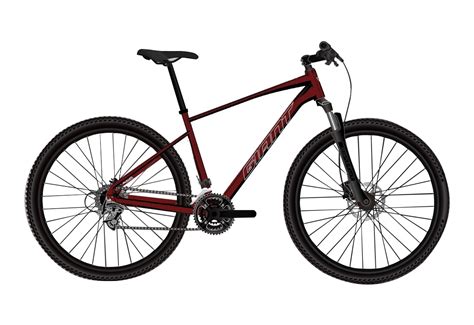 Giant Roam 2 Disc - Gu-Dried Chilli-L | Riders Inc