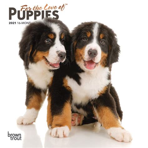 For the Love of Puppies 2021 Calendar: Foil Stamped Cover : Browntrout ...