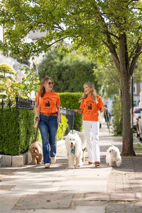 Login | Meet My Paws