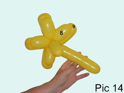 Image result for Balloon Bird Tutorial