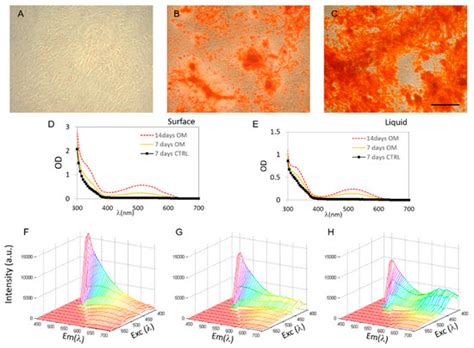 IJMS | Special Issue : Graphene: Biological Applications