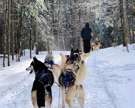 THE 30 BEST Places to Visit in Haliburton (2025)