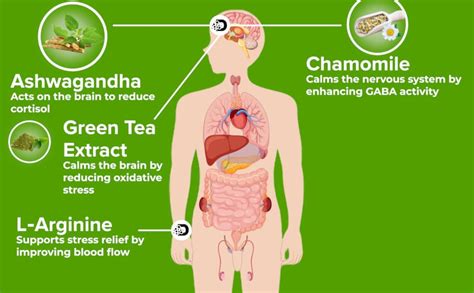 Daily All Day Stress Free, Ashwagandha Root, Chamomile for sleep, Green ...
