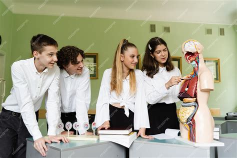 Schoolchildren examining anatomical model in lab in school at biology ...