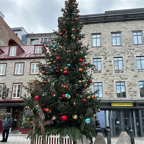 HOTEL CLARENDON (Quebec/Quebec City) - Hotel Reviews, Photos, Rate ...