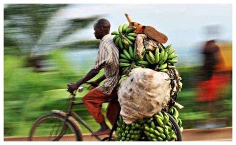 神奇的非洲大陸，有香蕉的花樣吃法，非洲人民：人窮志不窮 - 每日頭條