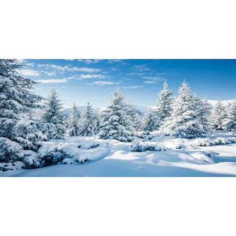 Buy CSFOTO 20x10ft Winter Scene Photo Backdrop Winter ain Backdrop ...
