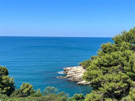 PINO BOUTIQUE HOTEL (Ulcinj) - Hotel Reviews, Photos, Rate Comparison ...