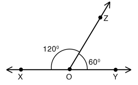 Adjacent Angles -Definition, Properties, Examples