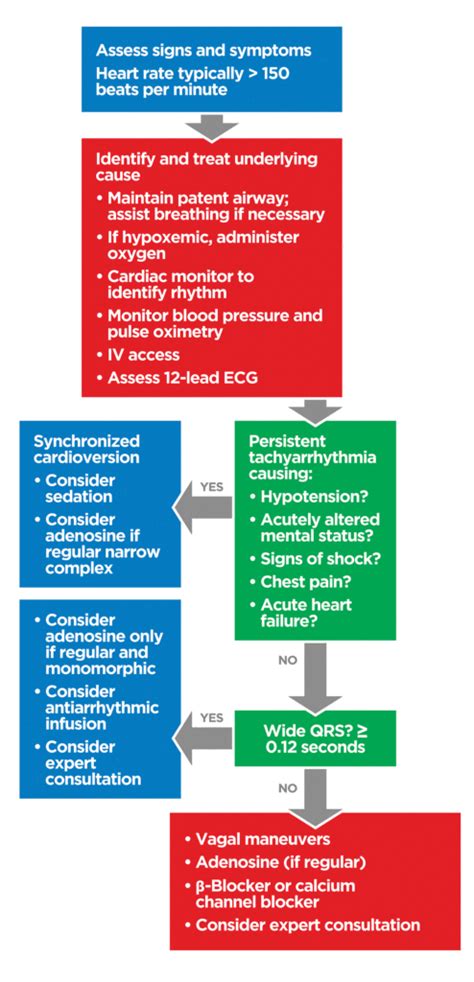 Image result for Stable Tachycardia ACLS Algorithm