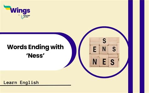 List of Words Ending with Ness: Use of Suffix -Ness - Leverage Edu Explore