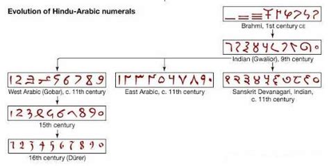 Sayıların gelişim basamakları nelerdir?